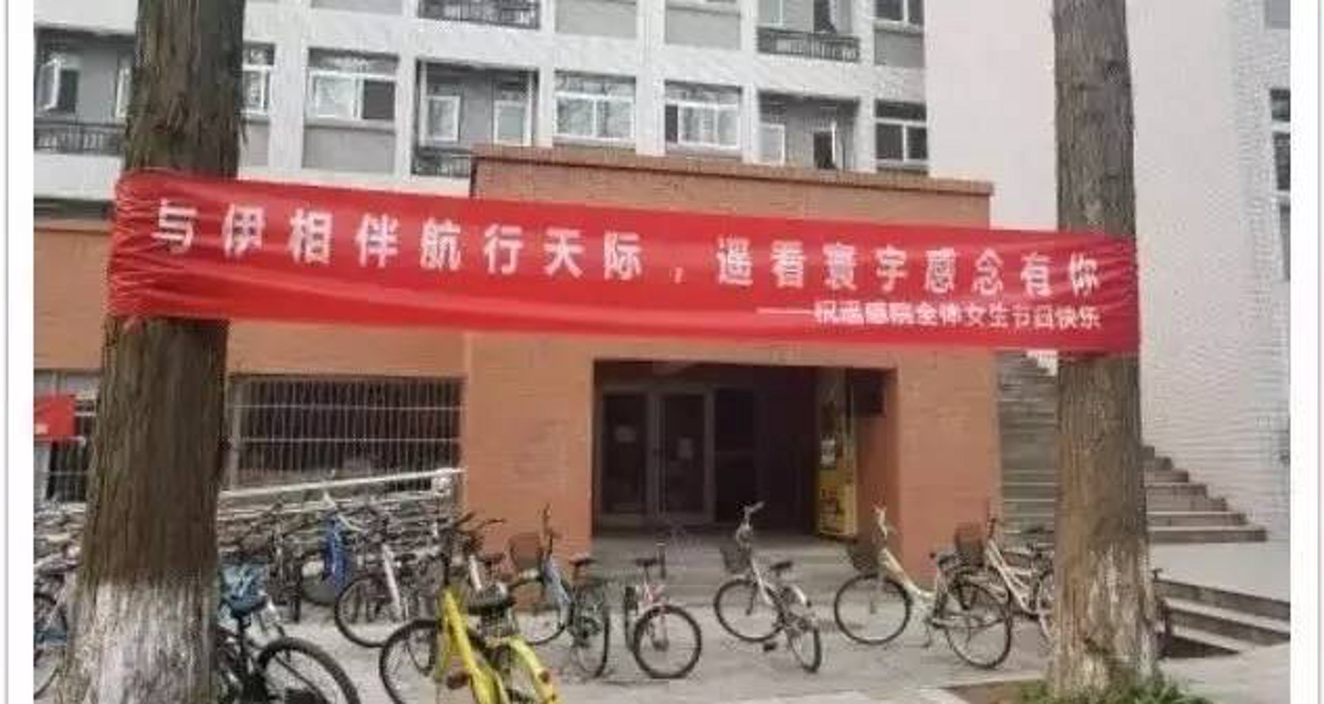 简笺伊网络