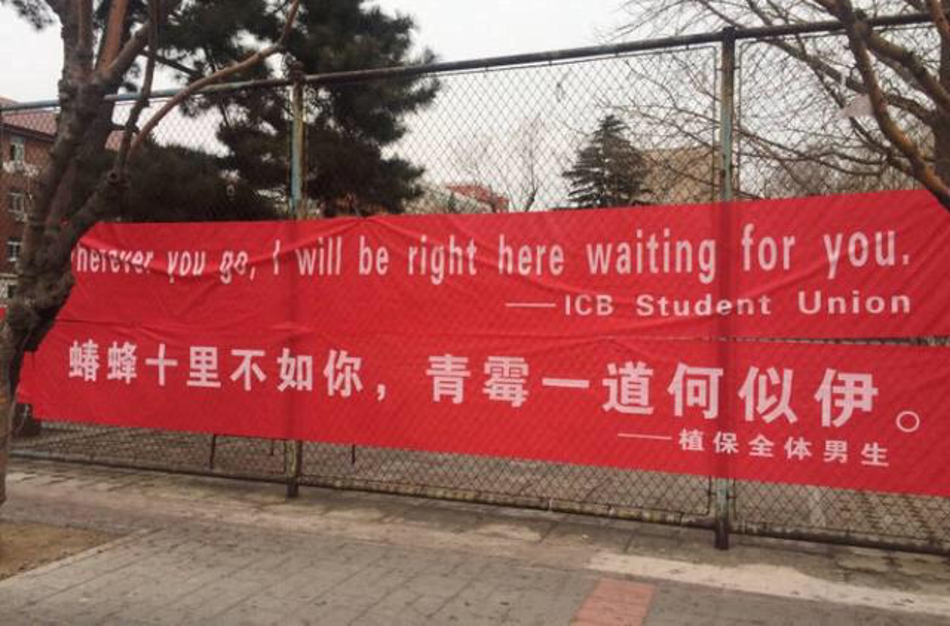 简笺伊网络